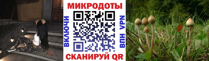 где купить   Златоуст  hydra рабочий сайт  Псилоцибиновые грибы Psilocybine cubensis 
