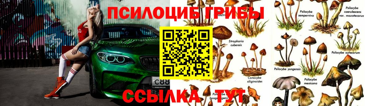 купить наркотики цена  Галлюциногенные грибы мухоморы  Вход с VPN  Златоуст 
