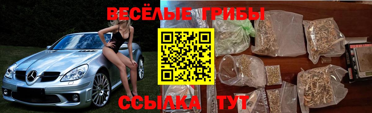 Галлюциногенные грибы Psilocybine cubensis Златоуст